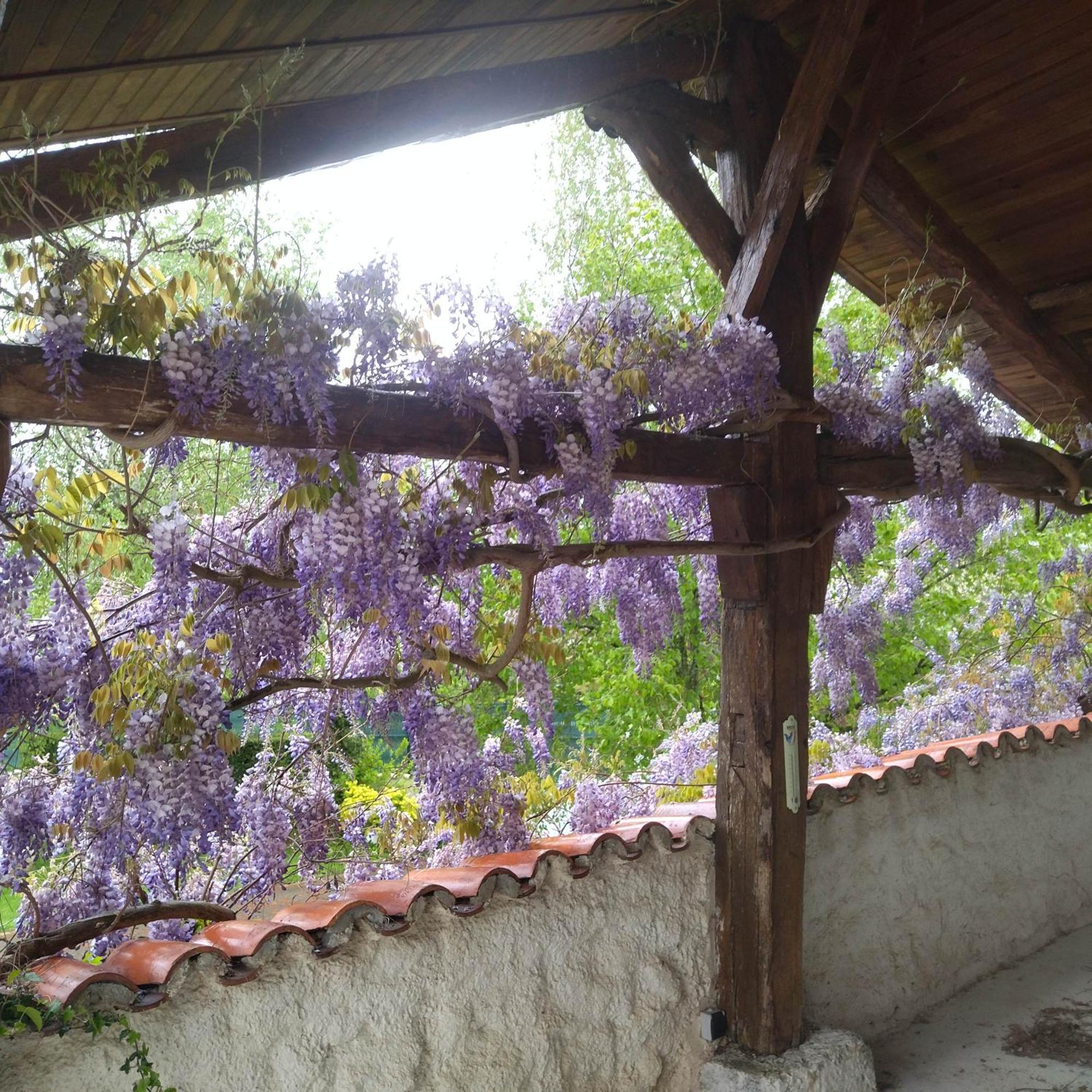 فيلا Gite De L'Ancheronne 12 Couchages Spa Lavans-sur-Valouse المظهر الخارجي الصورة